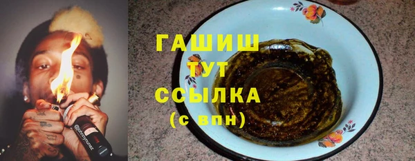 гашик Богданович