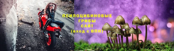 бошки Богородск
