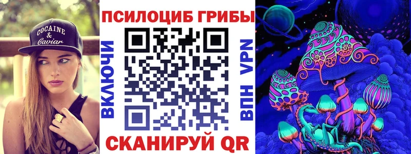 Галлюциногенные грибы Cubensis  Купить закладки  Ельня 